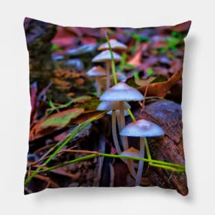 Delicate fungi in forest Pillow