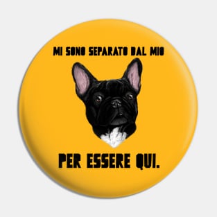 Ho lasciato il mio Bouledogue Francese per essere qui Pin