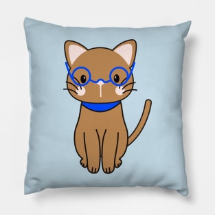 Cute Cat With Glasses Pillow