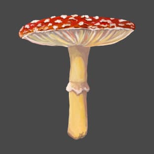 Mushroom Master Fly Agaric T-Shirt