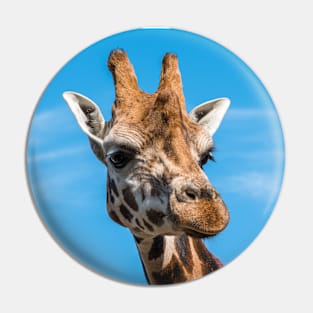 Close up photo of a Rothschild Giraffe head Pin