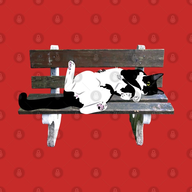 Cute Tuxedo Cat Resting on a Park Bench Copyright by TeAnne by TeAnne
