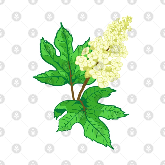 Oak Leaf Hydrangea Pattern by ziafrazier