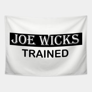 Joe wicks Tapestry