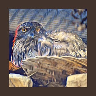 Tawny Frogmouth T-Shirt