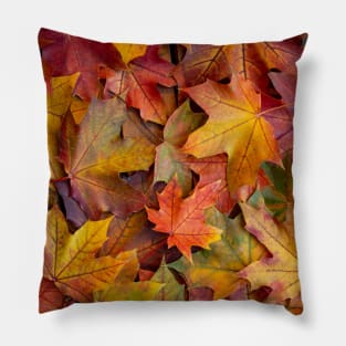 Colourful Maple Leaves Pillow