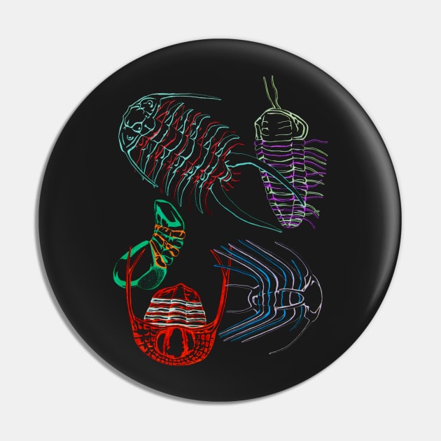 Ordovician Era Trilobites 2 Pin by RaLiz