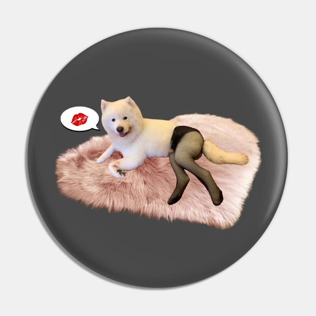 Dog Meme: Dog in black tights? Pin by Memiefy