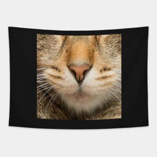 Tomcat - domestic cat Tapestry