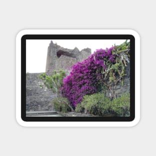 Violet wall flower Magnet