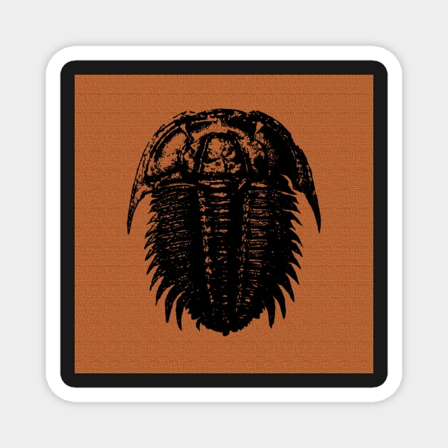 Trilobite Magnet by PurpleMoose