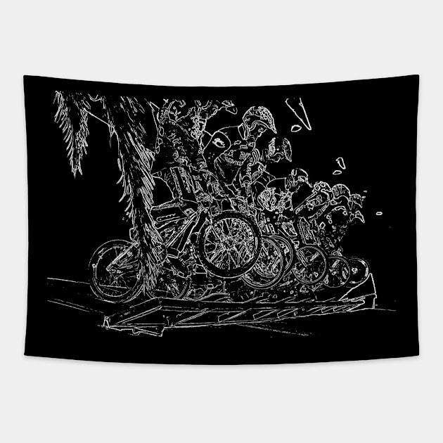 bmx Tapestry by rickylabellevie