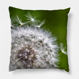 Dandelion Pillow