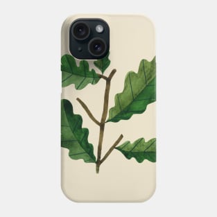 Oak branch Phone Case