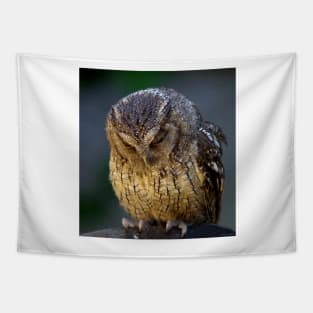 sulking owl Tapestry