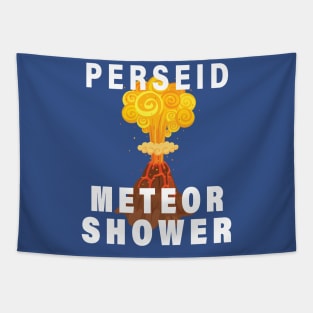 Perseid Meteor Shower Survivor 3 Tapestry