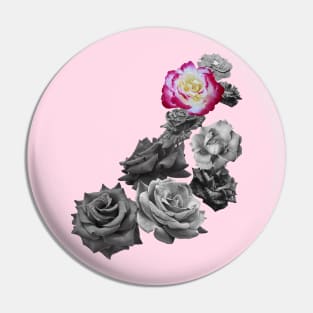 Black and White and a Pink White Yellow Rose Pin