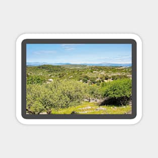 Landscape Near Nerezisca, Brac Island, Croatia Magnet