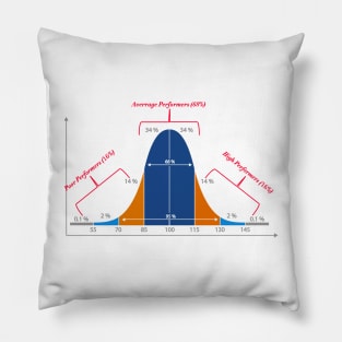 Normal Distribution Curve Pillow