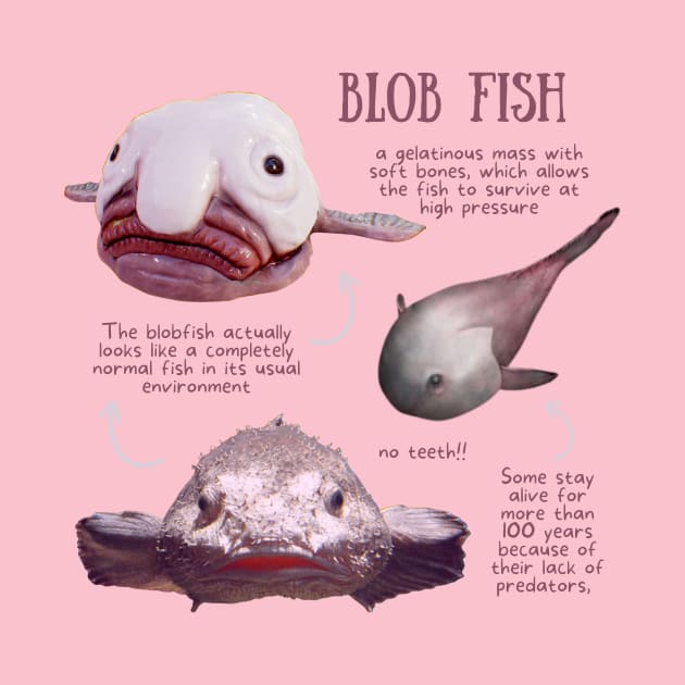 Animal Facts - Blob Fish by Animal Facts and Trivias
