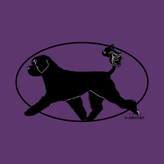 Portuguese Water Dog Retriever by avondalealley