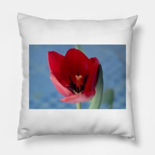 9216 red tulip Pillow