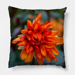 Orange Dahlia in Bloom Pillow