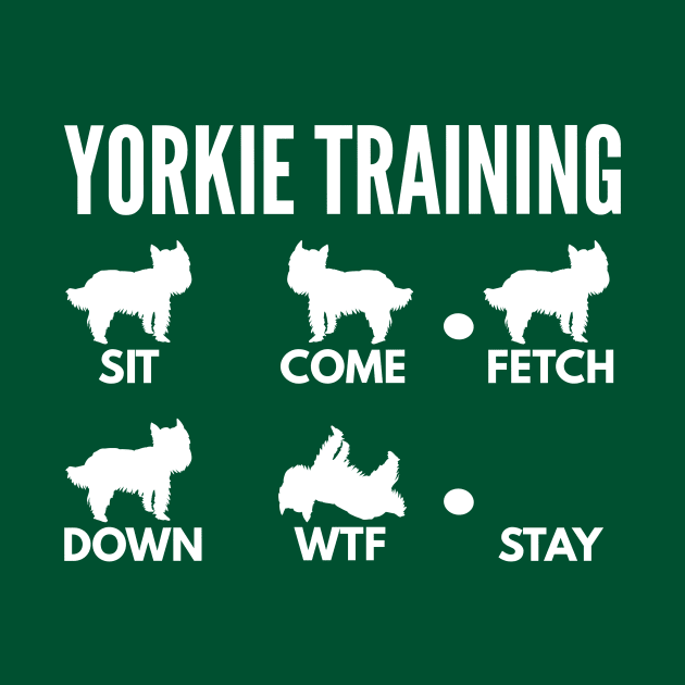 Yorkie Training Boxer Dog Tricks by DoggyStyles