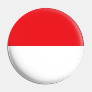 Indonesia Flag Pin