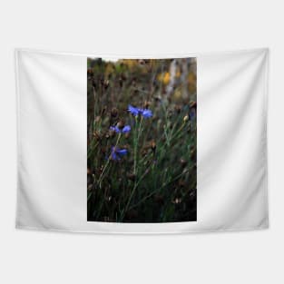 Cornflower Tapestry