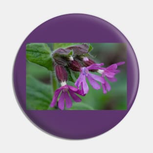 English Wild Flowers - Red Campion Pin