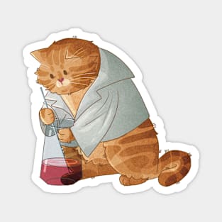 Lab Cat - Red Tabby Cat Scientist Magnet