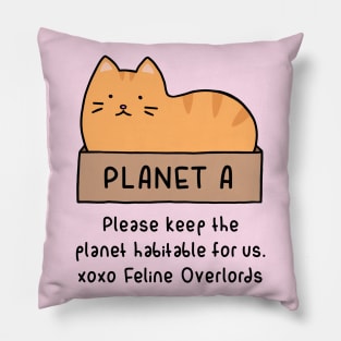 Orange Cat - Habitable Planet (Blossom Pink) Pillow