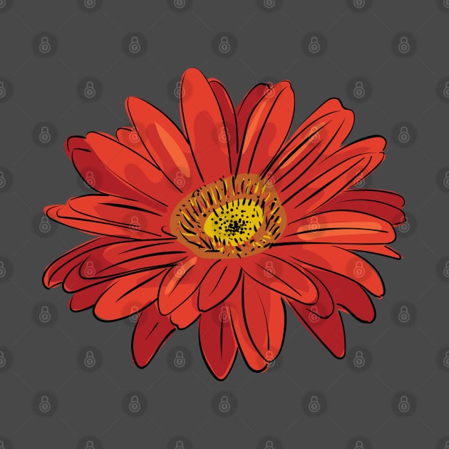 Red gerbera daisy flower by Catdog