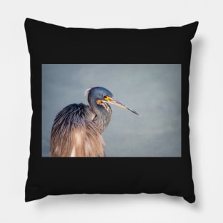 Tri-colored Heron Portrait in Morning Light Pillow