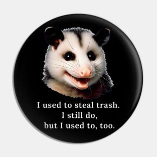 A possum comedian Pin