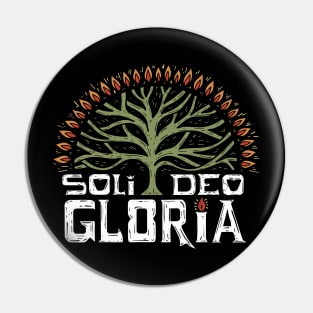 soli deo gloria, glory to God alone - romans 11:33 Pin