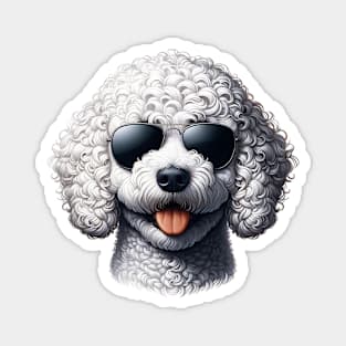 Lagotto Romagnolo Dog Wearing Sunglasses Magnet