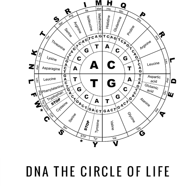 DNA The Circle Of Life Kids T-Shirt by AlternativeEye