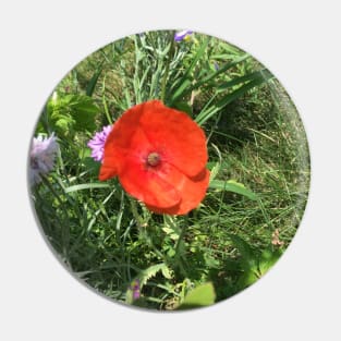 Little Red Poppy Pin