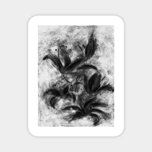 black and white lilies Magnet