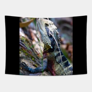 The Eastern Water Dragon! Tapestry