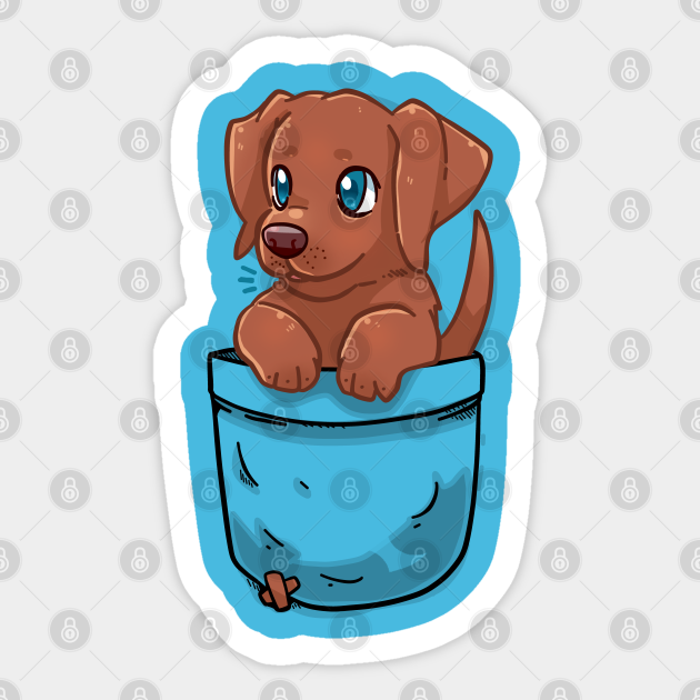 Pocket Cute Chocolate Labrador - Chocolate Lab - Sticker | TeePublic Pocket Cute Chocolate Labrador - Chocolate Lab - Sticker | TeePublic