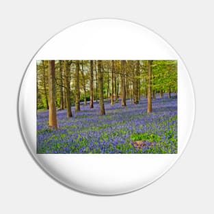 Bluebells Bluebell Woods Greys Court Oxfordshire UK Pin