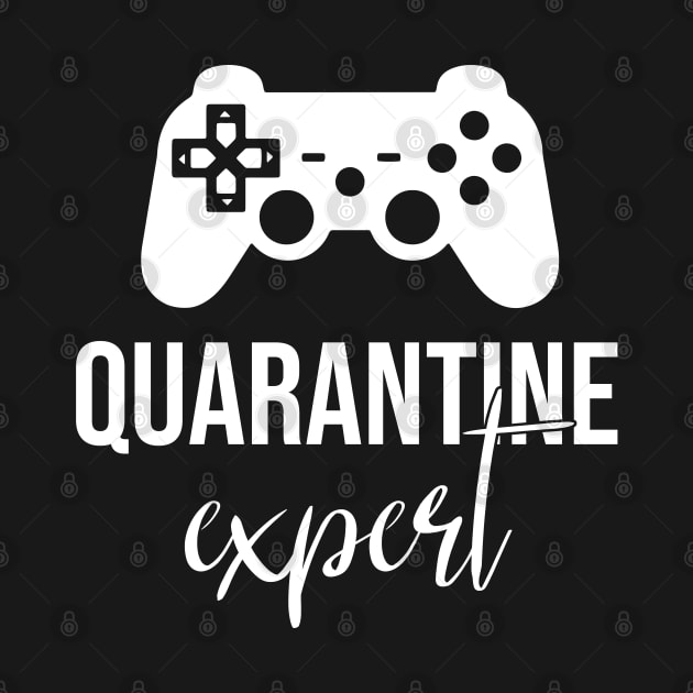 Quarantine Video Game - Play Game Expert by wendieblackshear06515