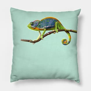 Funny Chameleon Pillow