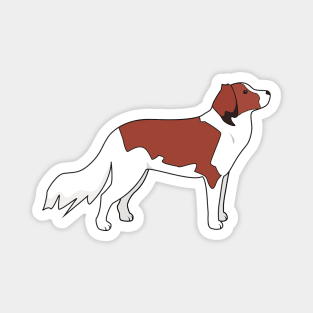 Kooiker Dog Illustrated Magnet