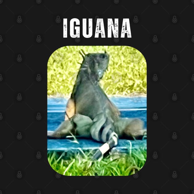 Iguana Lover Too by The Global Worker