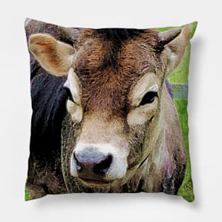 Cows - Calf Closeup Pillow