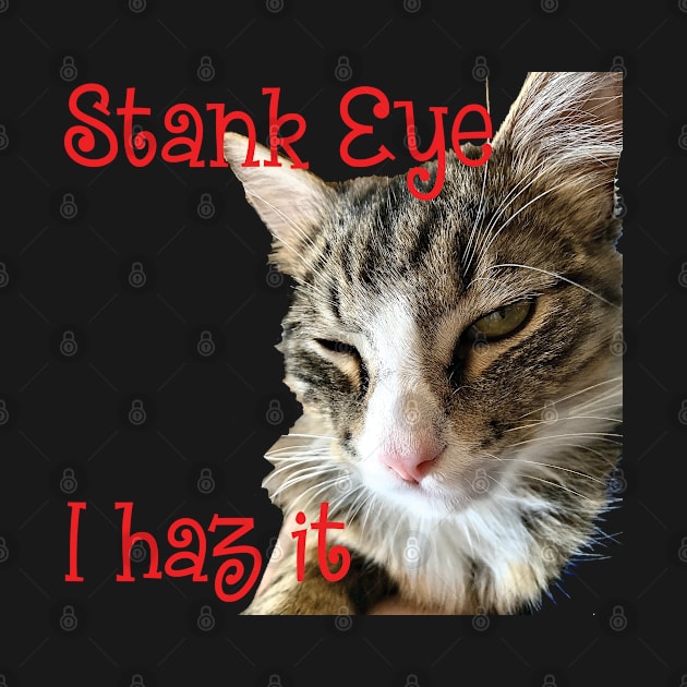 STANK EYE, I haz it! annoyed Maine Coon cat by TanoshiiNeko